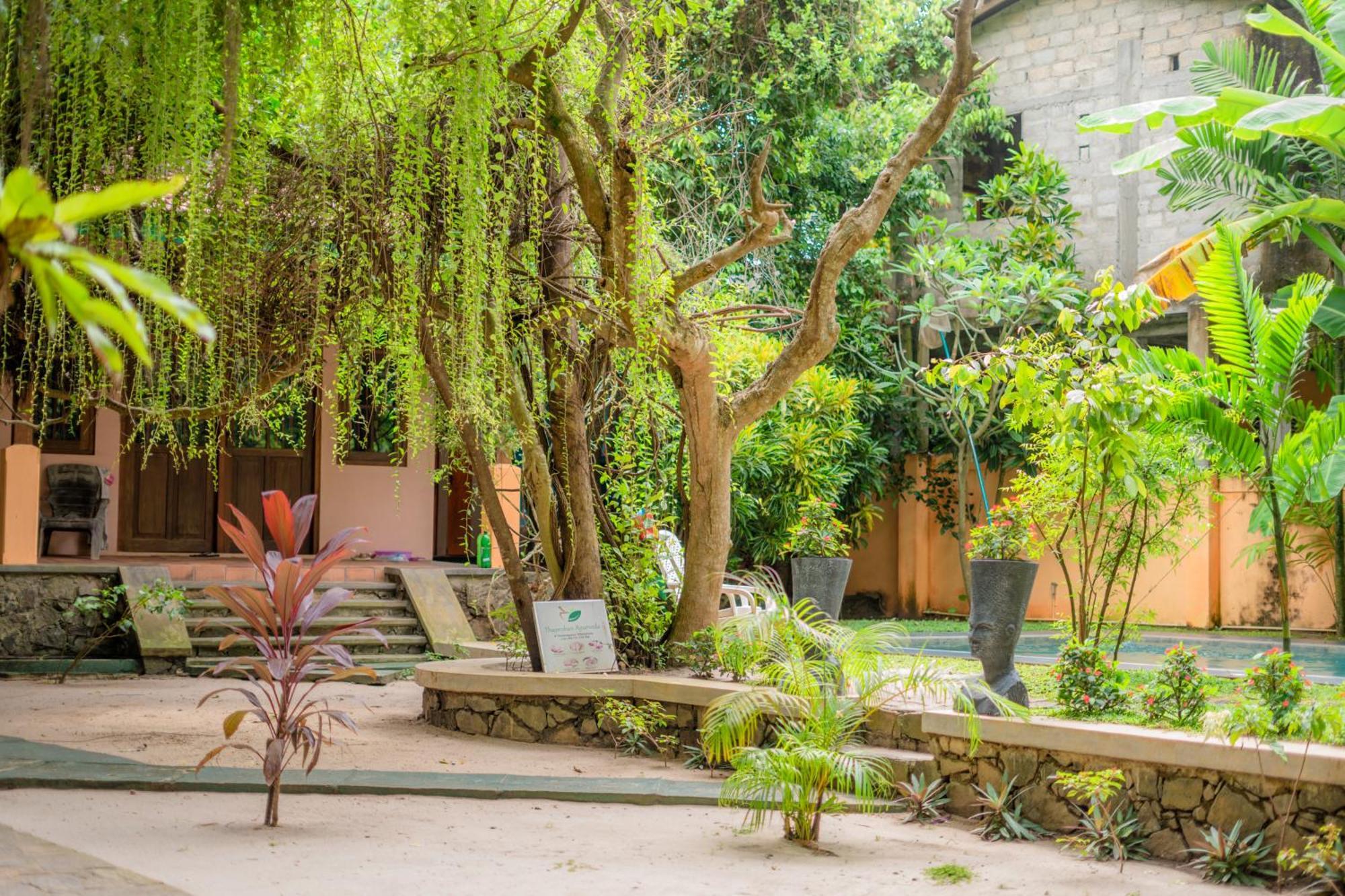 היקדואה Monkey Villa מראה חיצוני תמונה